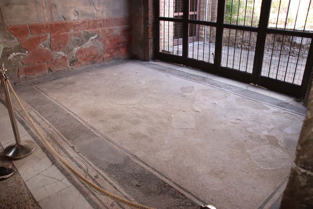 III.11 Herculaneum. September 2019. Room 9, tablinum mosaic flooring. Photo courtesy of Klaus Heese.